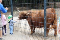 im Tierpark Pforzheim