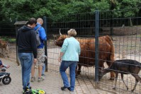 im Tierpark Pforzheim