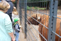 im Tierpark Pforzheim