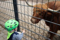 im Tierpark Pforzheim