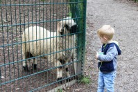im Tierpark Pforzheim