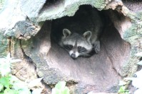 im Tierpark Pforzheim
