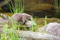 im Tierpark Pforzheim