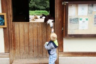 im Tierpark Pforzheim