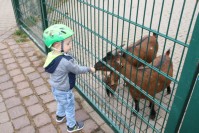 im Tierpark Pforzheim