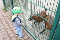 im Tierpark Pforzheim