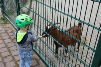 im Tierpark Pforzheim
