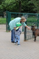 im Tierpark Pforzheim