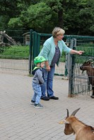 im Tierpark Pforzheim