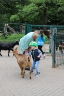 im Tierpark Pforzheim