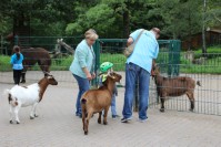 im Tierpark Pforzheim