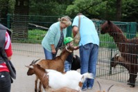 im Tierpark Pforzheim