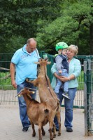 im Tierpark Pforzheim