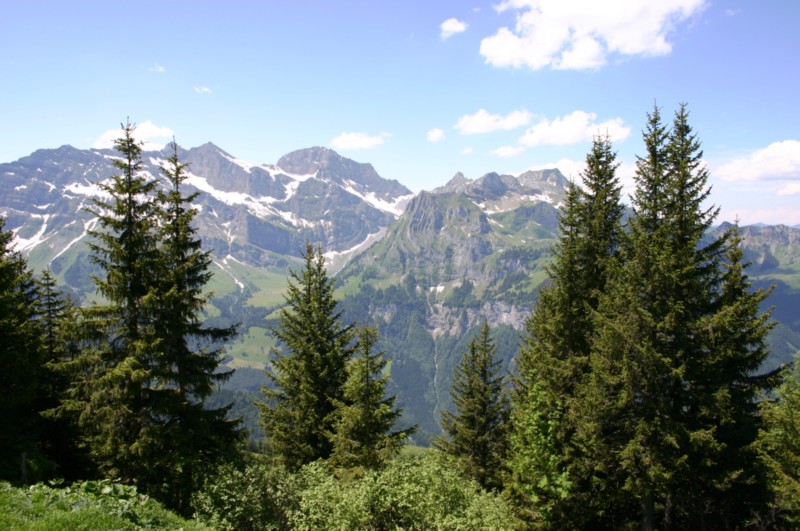 auf dem Engelberg