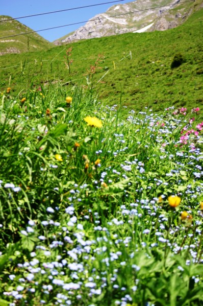 auf dem Engelberg
