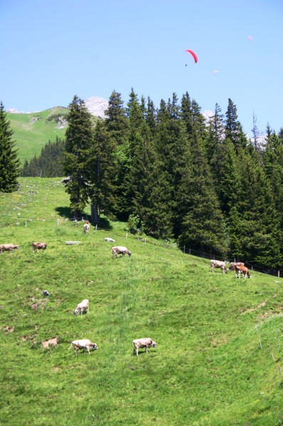 auf dem Engelberg