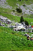 auf dem Engelberg