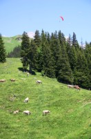 auf dem Engelberg