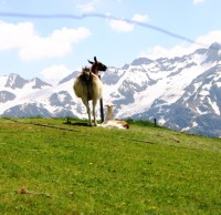 auf dem Engelberg