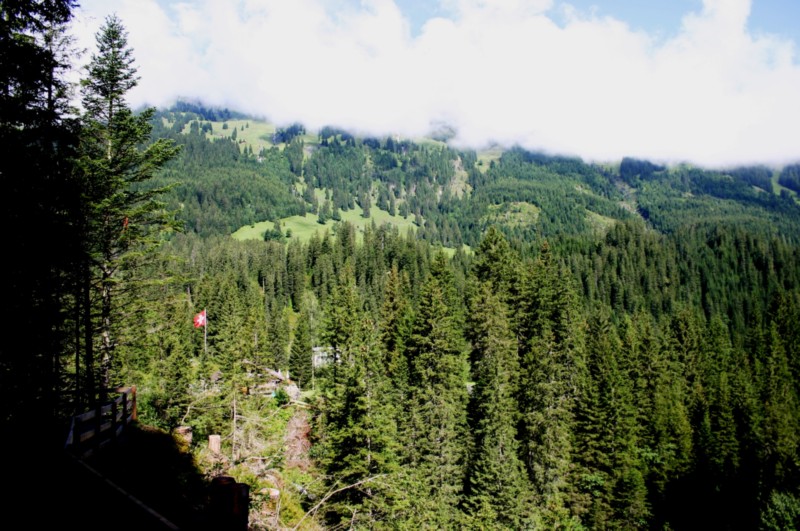 Haslital (23).JPG
