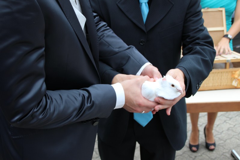 Hochzeit  Janine und Pascal