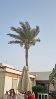 Hurghada Mai 2022