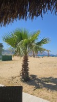 Kreta 2025