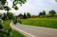 Maispaziergang (12).JPG