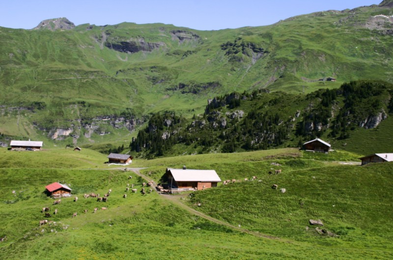 Meiringen_Alpentower (11).JPG