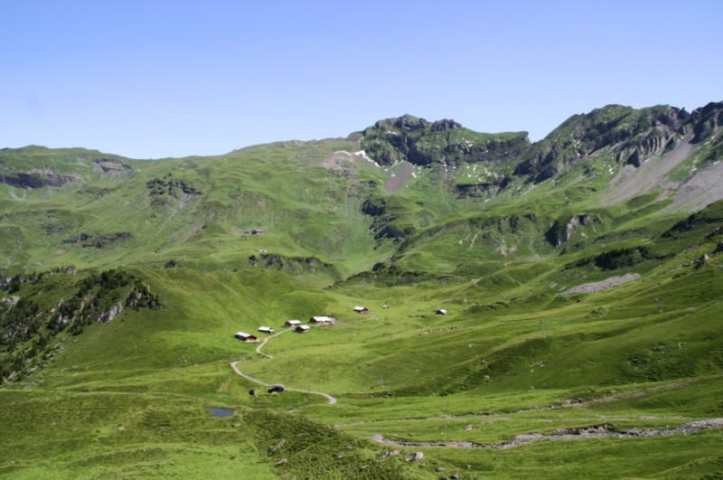 Meiringen_Alpentower (12).JPG