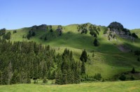 Meiringen_Alpentower (1).jpg