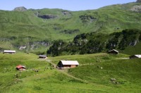 Meiringen_Alpentower (11).JPG
