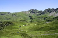 Meiringen_Alpentower (12).JPG