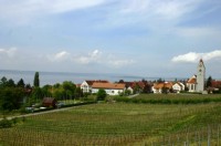 Blick zum See