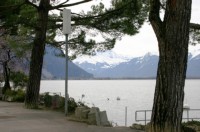 Genfersee