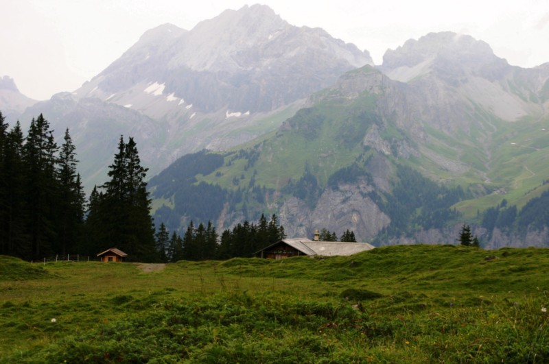 Oeschinensee (14).JPG