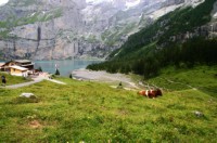 Oeschinensee (17).JPG