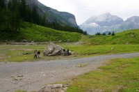 Oeschinensee (31).JPG