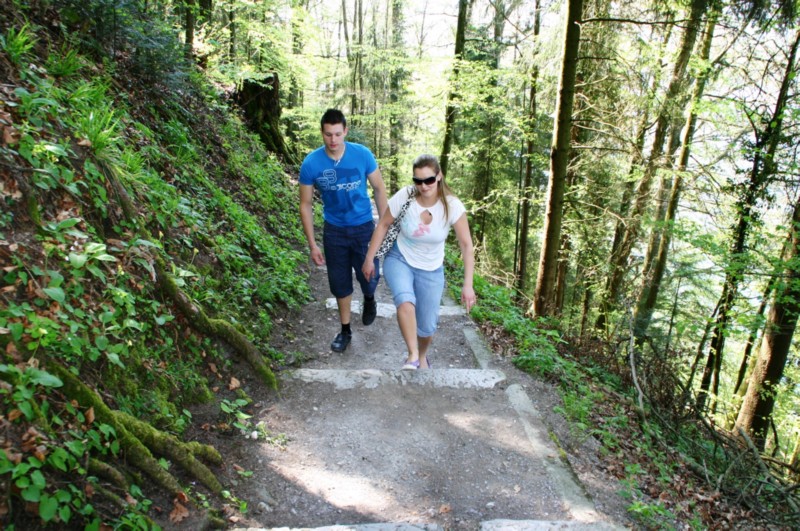 Weg zum Hammetschwandlift