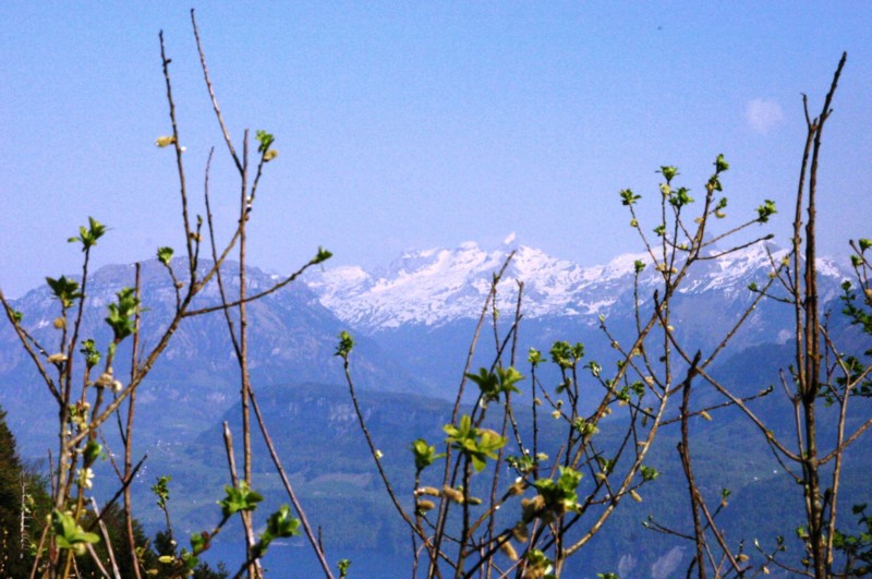 Blick vom Hammetschwand
