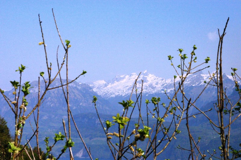 Blick vom Hammetschwand