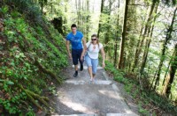 Weg zum Hammetschwandlift
