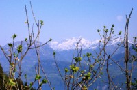 Blick vom Hammetschwand