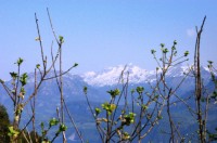 Blick vom Hammetschwand