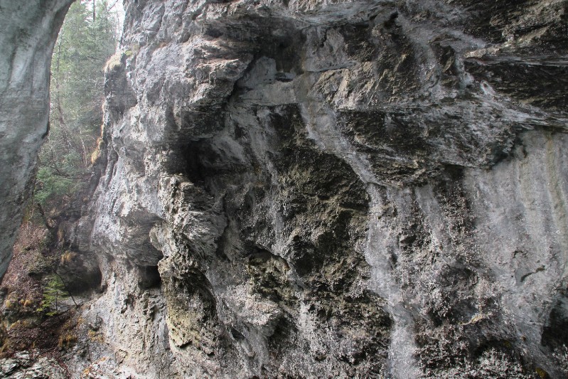 in der Aareschlucht Meiringen
