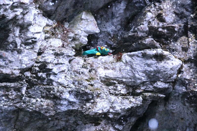 der Tatzelwurm