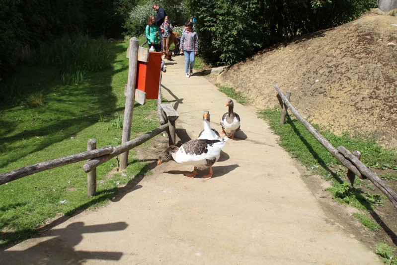 Ostsee 2020 (77).jpg