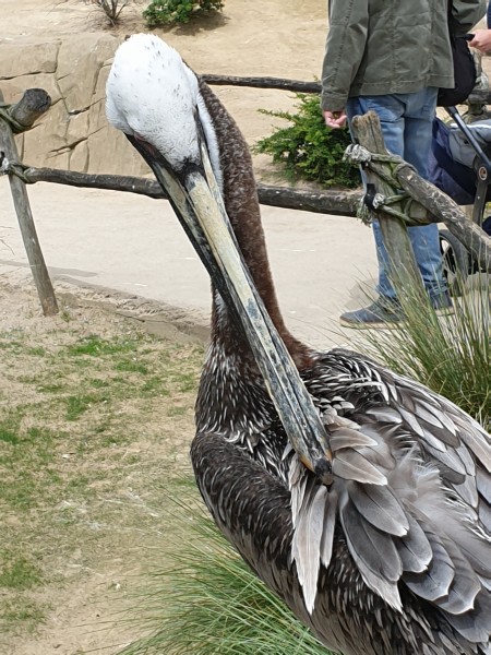 Ostsee 2020 (79).jpg