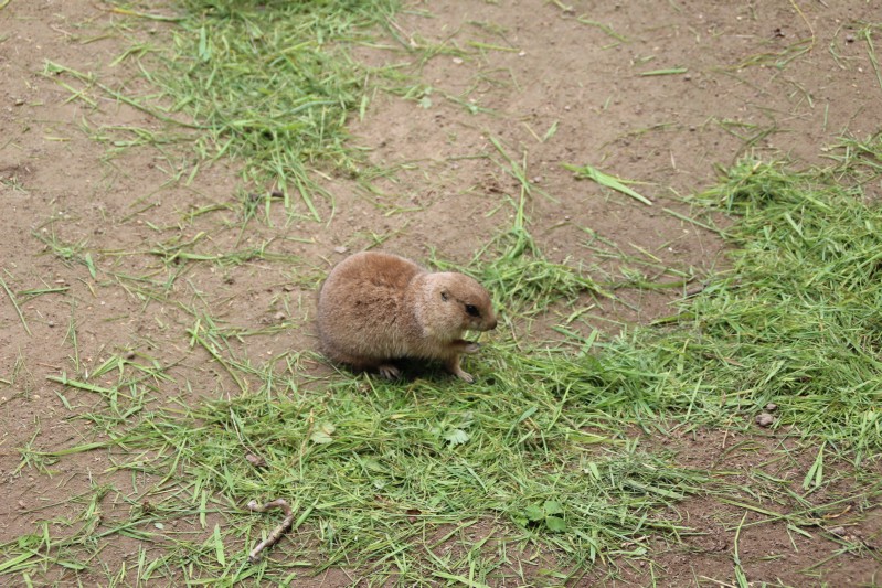 Ostsee 2020 (81).jpg