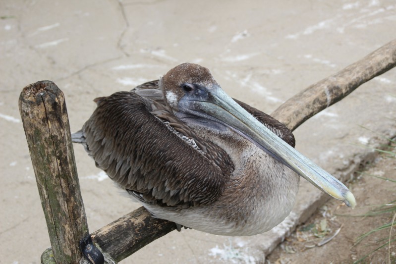 Ostsee 2020 (86).jpg